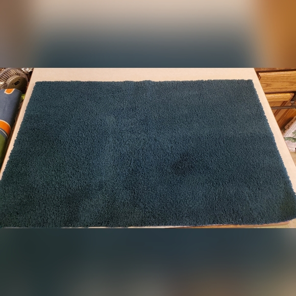 Bath Rug - Picture 1 of 2